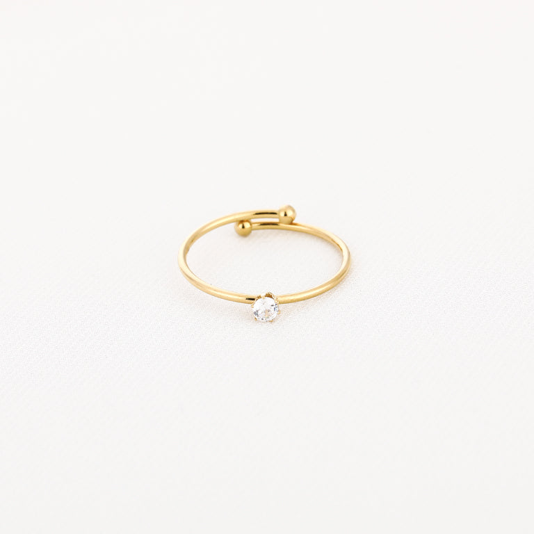 Basic ring zirkonia