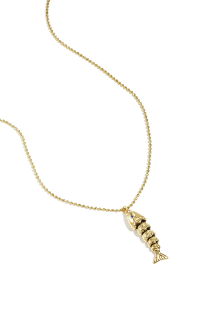Lange ketting met vis