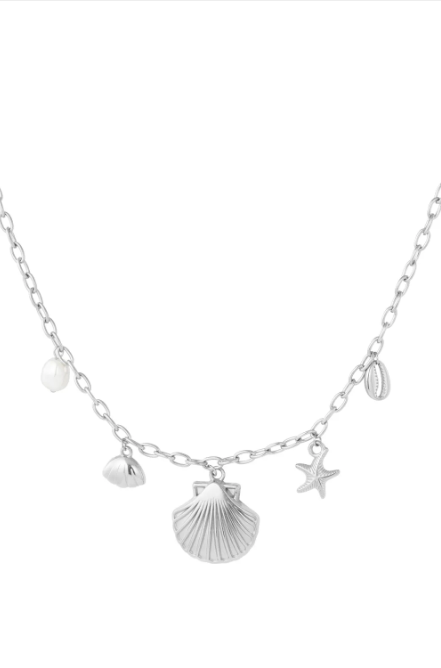 Bedelketting zeester