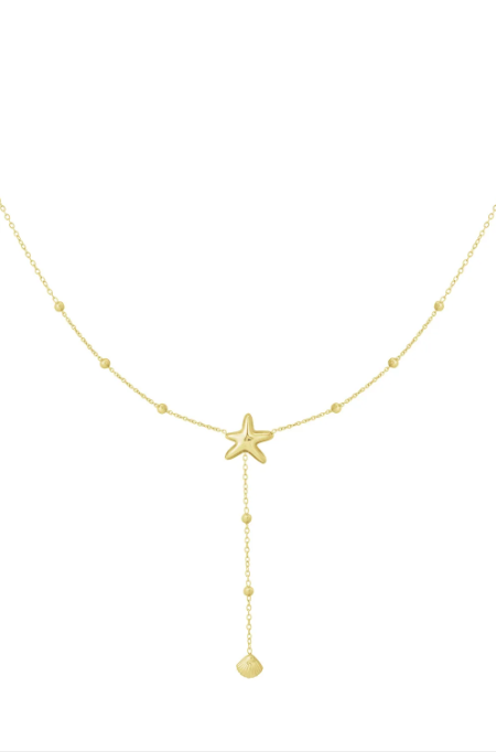 Ketting met ster en schelp